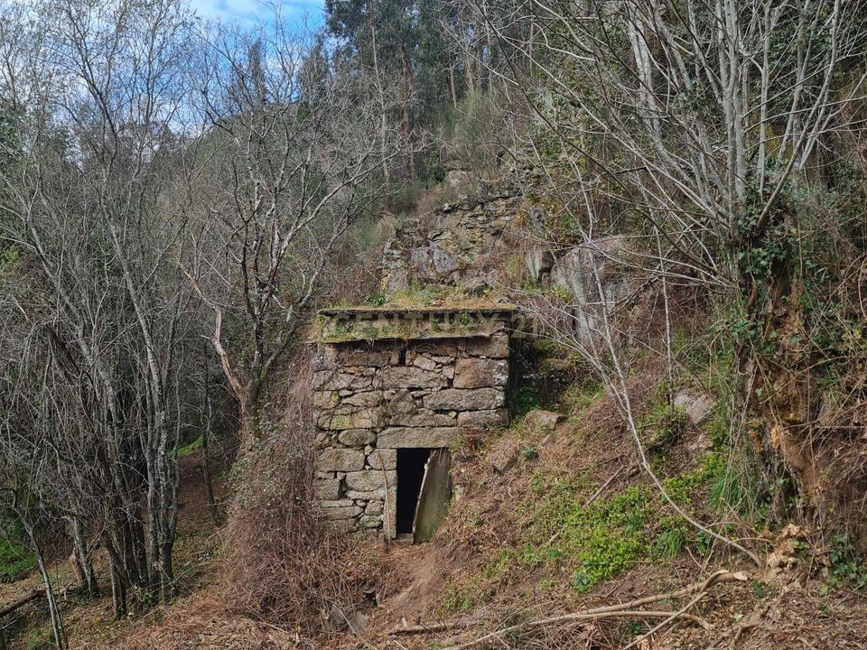Farm hus i Penafiel, Porto - foto 5