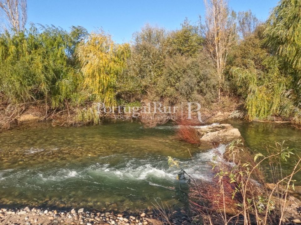 Farm i Belmonte, Castelo Branco - foto 2