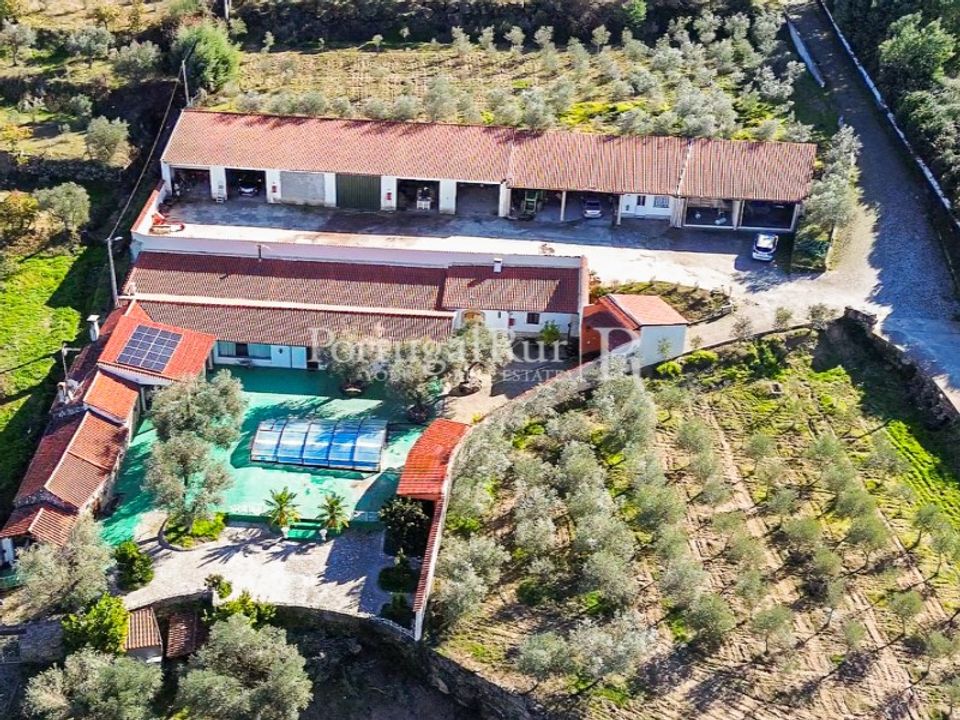 Farm i Belmonte, Castelo Branco - foto 4