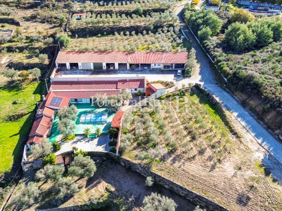 Farm i Belmonte, Castelo Branco - foto 3