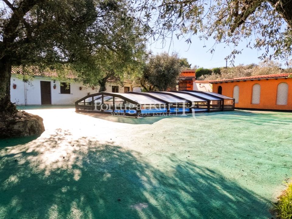 Farm i Belmonte, Castelo Branco - foto 5