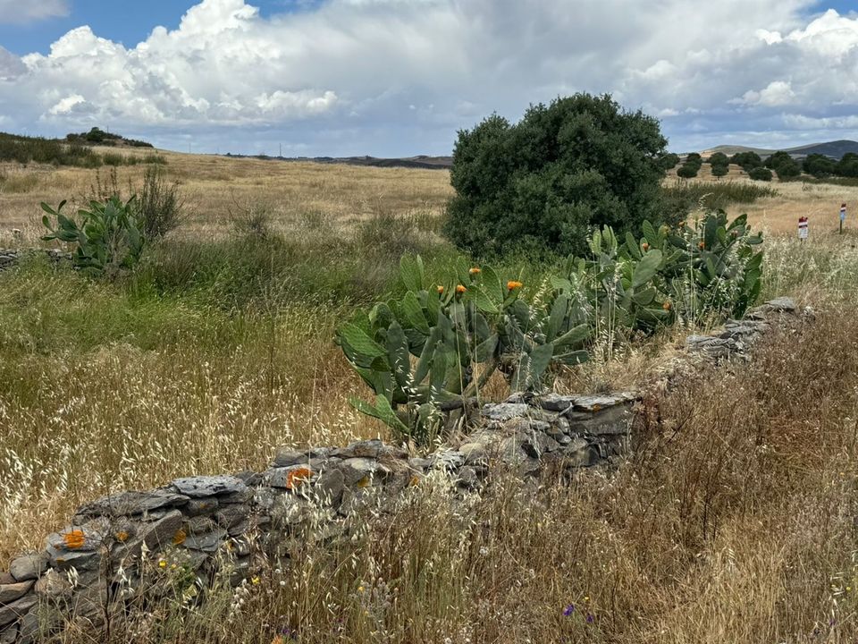 Helårsgrund i Mertola, Beja - foto 3