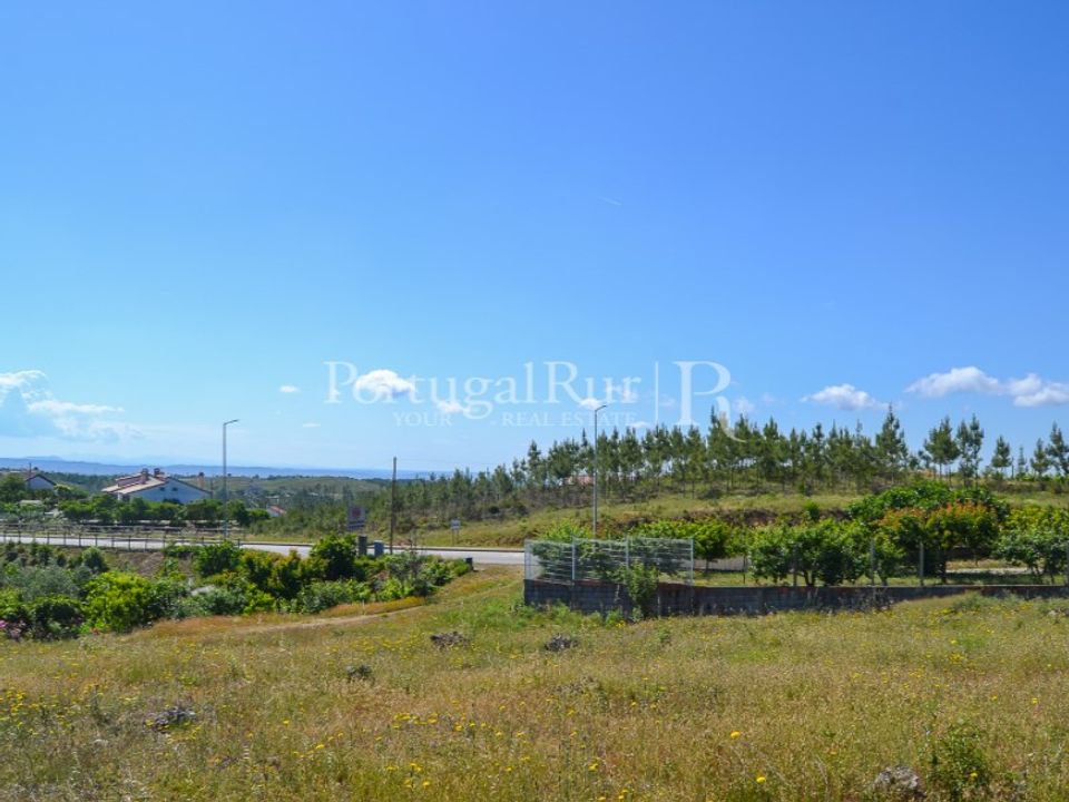 Terra em Proenca-a-Nova, Castelo Branco - foto 1