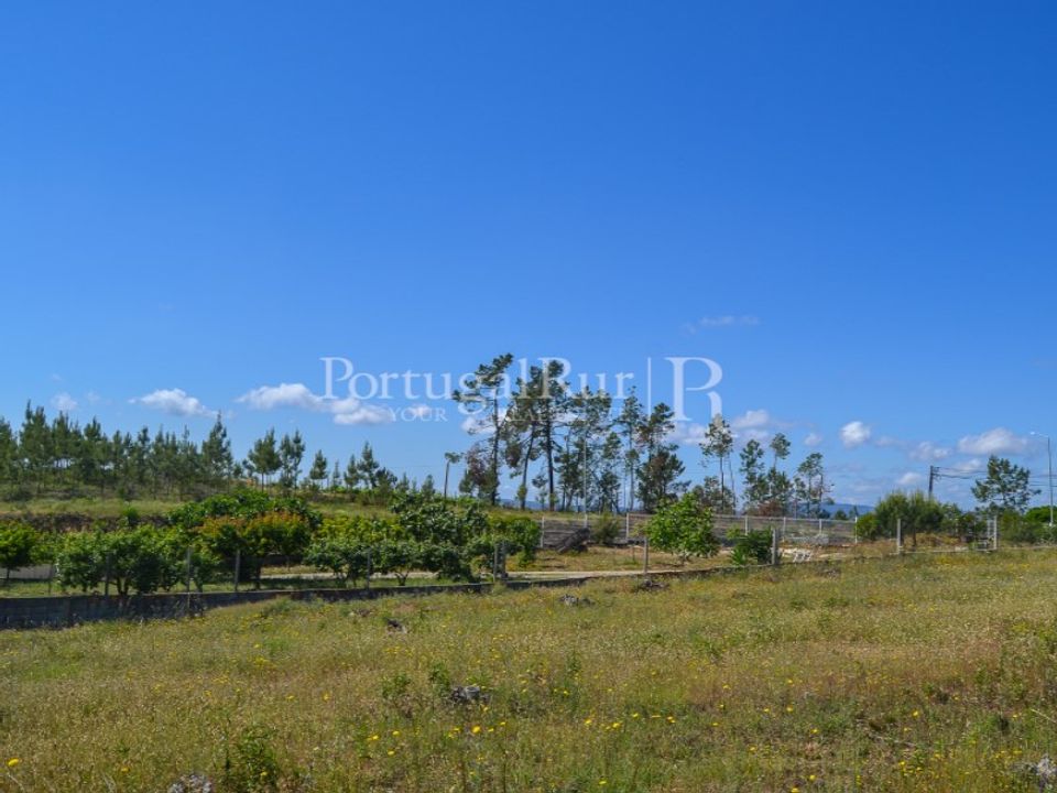Terra em Proenca-a-Nova, Castelo Branco - foto 2