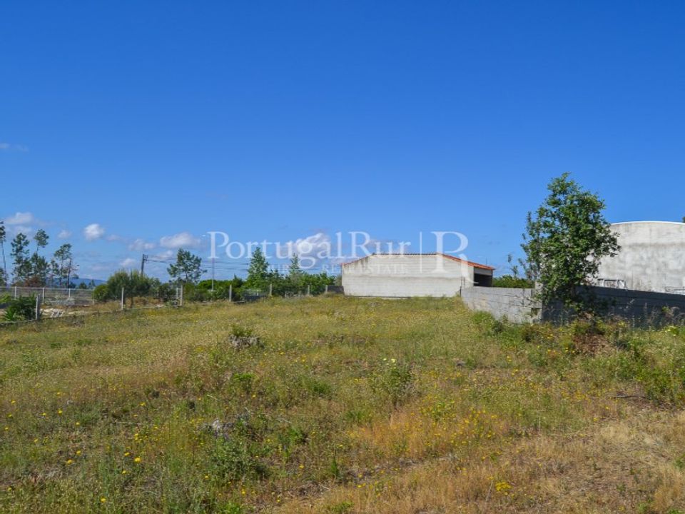 Terra em Proenca-a-Nova, Castelo Branco - foto 3