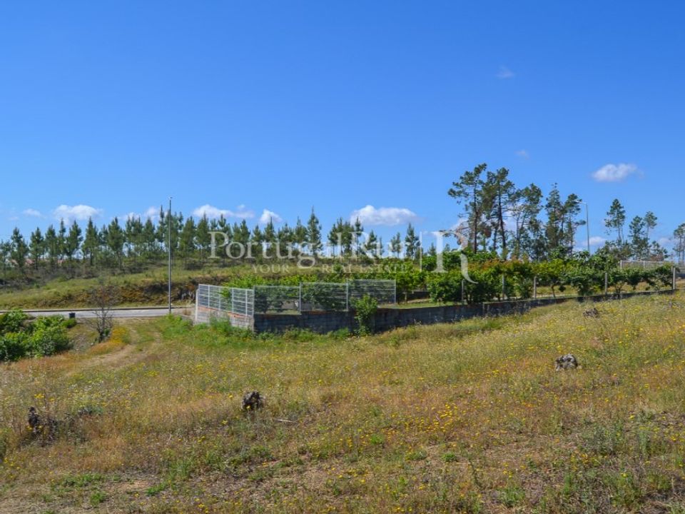 Terra em Proenca-a-Nova, Castelo Branco - foto 4