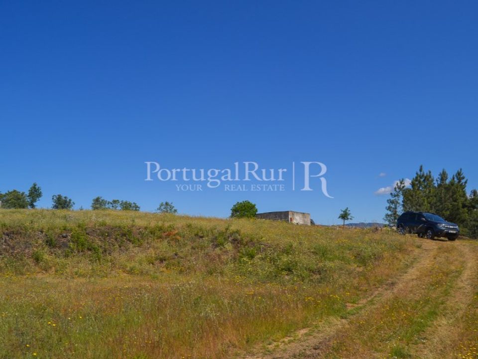 Terra em Proenca-a-Nova, Castelo Branco - foto 5