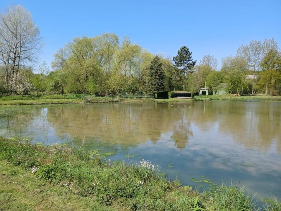 Villa i Estrée-Wamin, Pas-de-Calais - foto 2