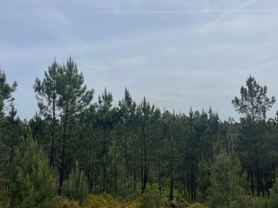 Helårsgrund i Abrantes, Santarem - foto 2