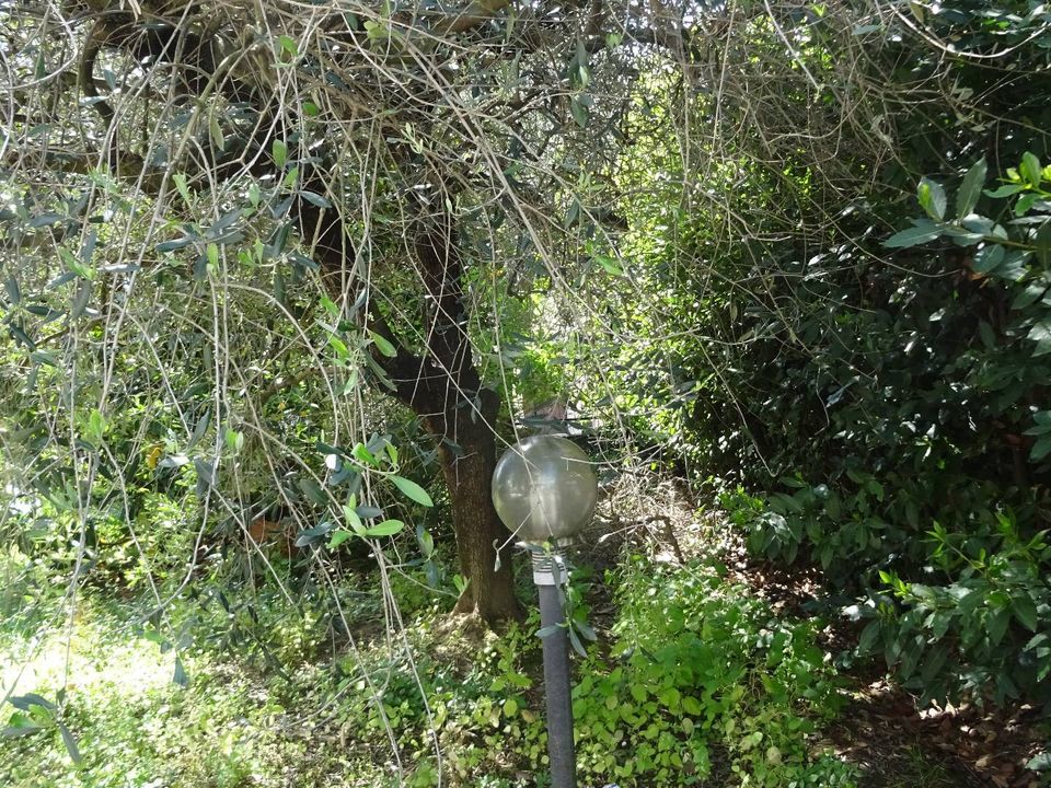 Lejlighed i Montelupo Fiorentino, Florence - foto 2