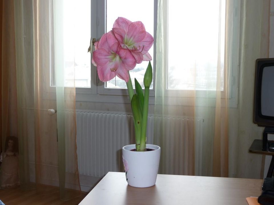 Studio i Besancon, Doubs - foto 3