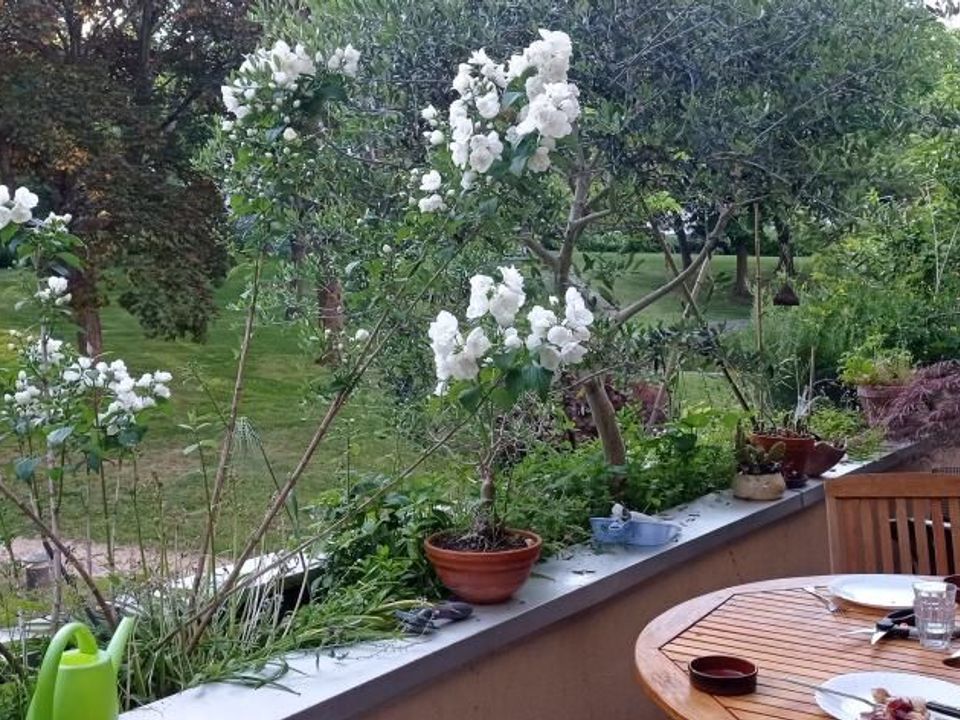 Studio i Verrières-le-Buisson, Essonne - foto 1