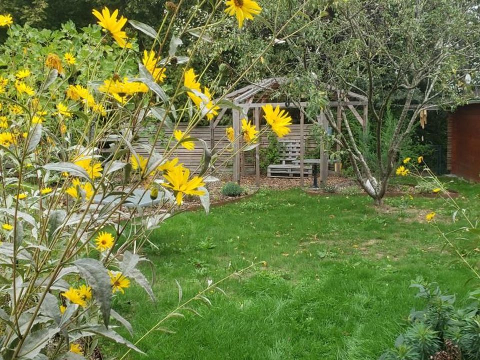 Studio i Bréal-sous-Montfort, Ille-et-Vilaine - foto 1