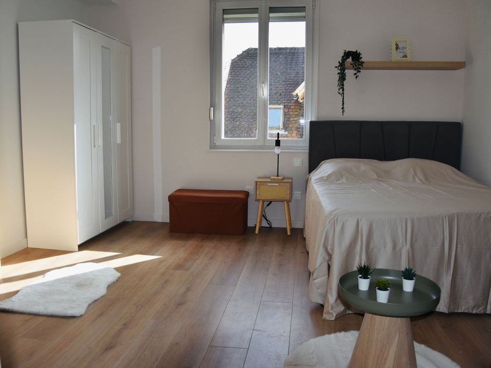 Apartament a Schiltigheim, Bas-Rhin - foto 3