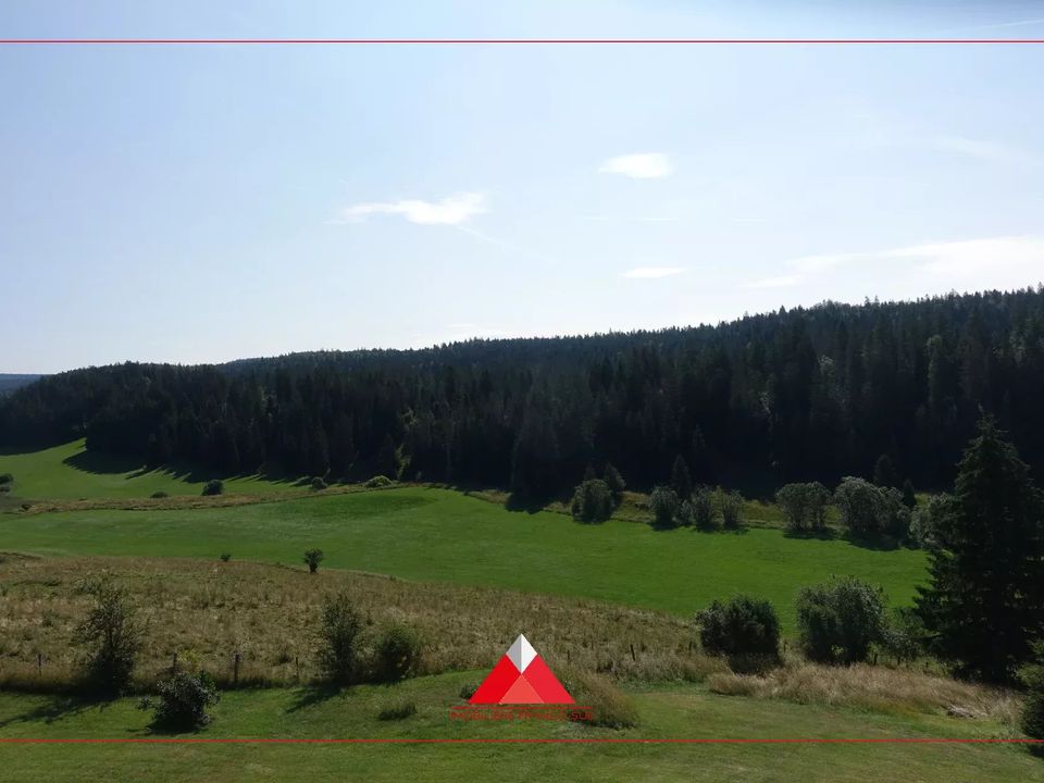 Willa: Nanchez, Jura – zdjęcie 2