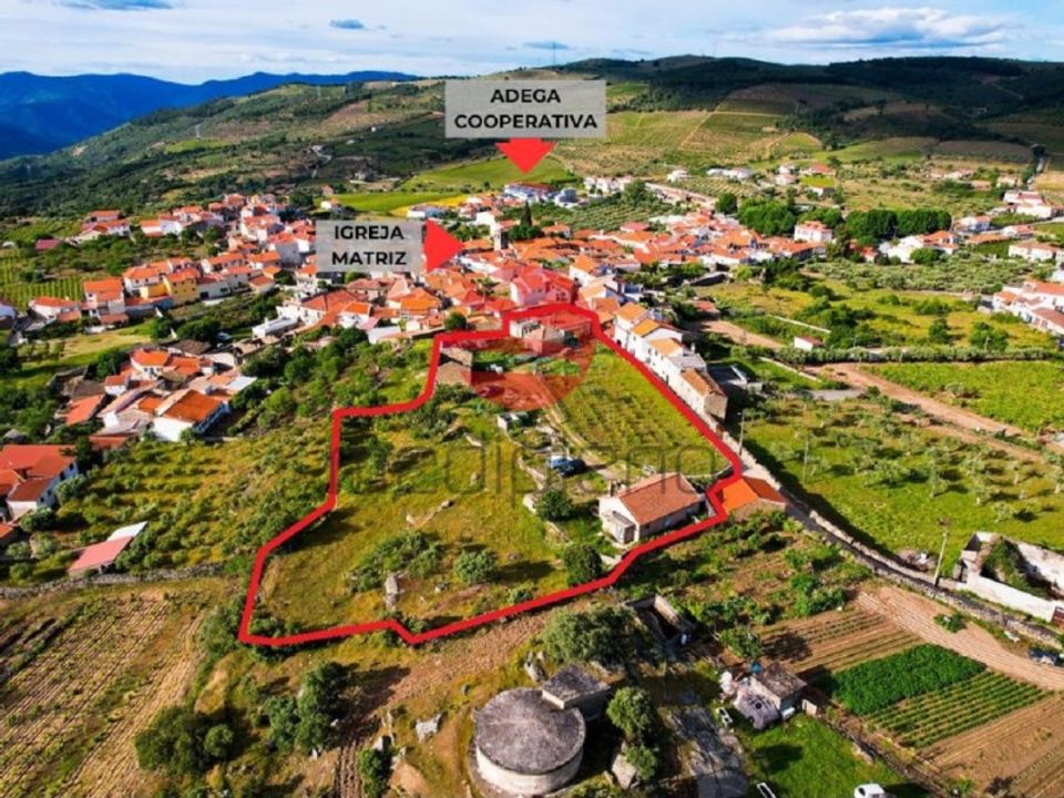 Farm i Freixo de Numao, Guarda - foto 2