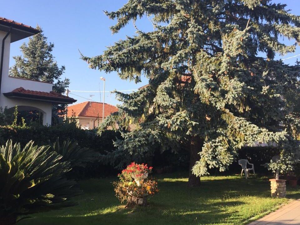 Villa i Castelnuovo Magra, La Spezia - foto 3