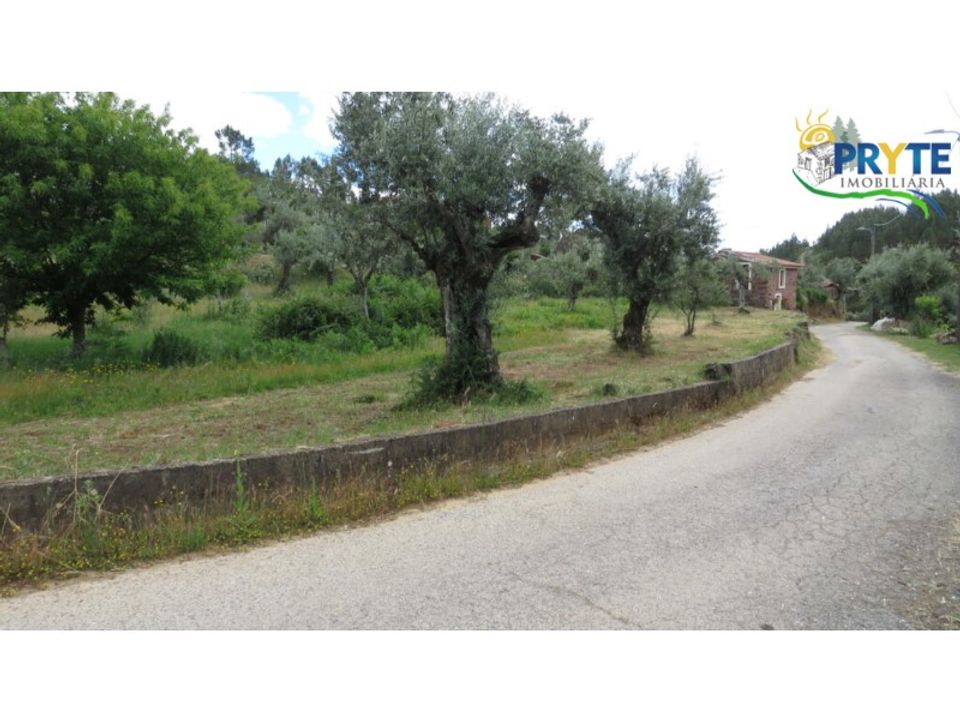 Helårsgrund i Proenca-a-Nova, Castelo Branco - foto 1