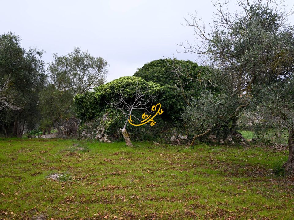 Landejendom i Noci, Bari - foto 3