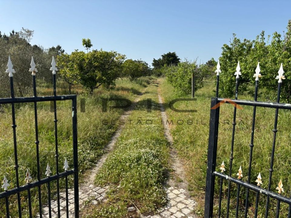 Villa i Cartaxo, Santarem - foto 4