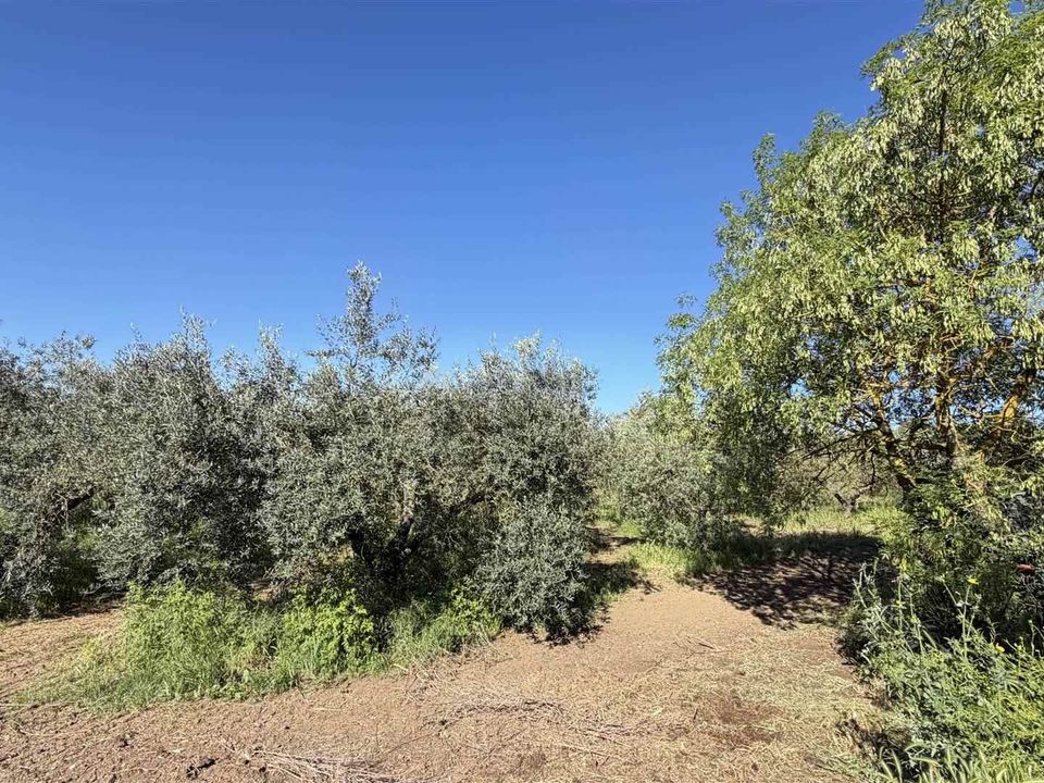 Villa i Campagnatico, Grosseto - foto 2