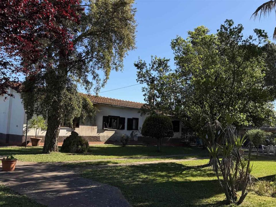 Villa i Campagnatico, Grosseto - foto 3