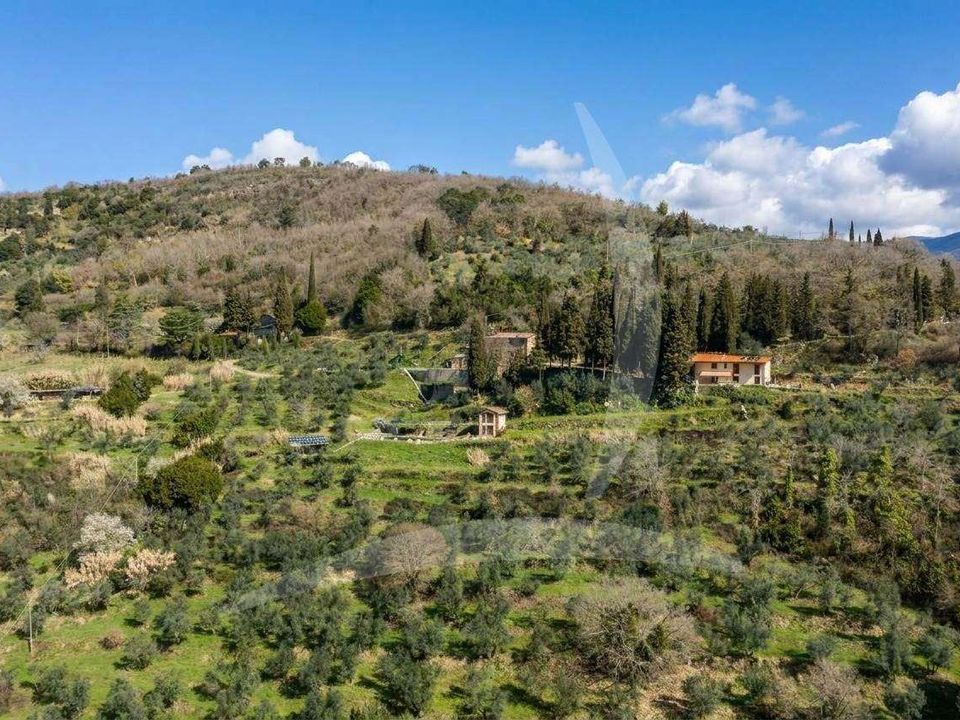 Farm hus i Loro Ciuffenna, Arezzo - foto 4