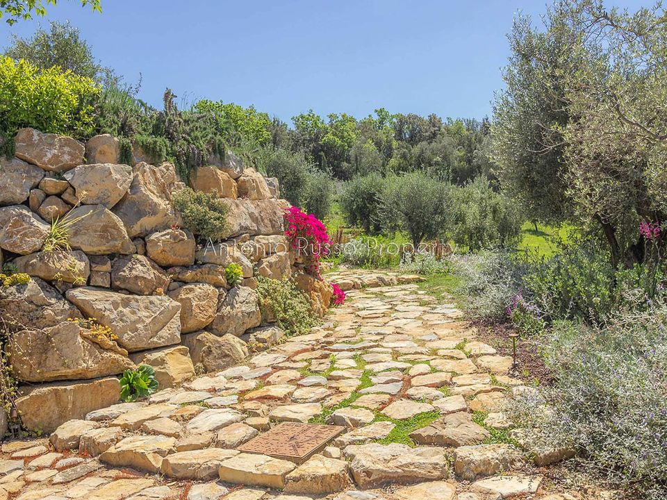 Villa i Bolgheri, Livorno - foto 5