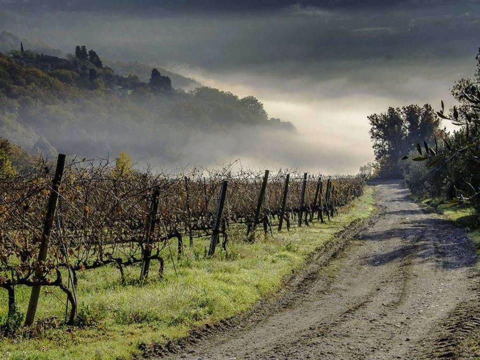 Farm hus i Certaldo, Florence - foto 2