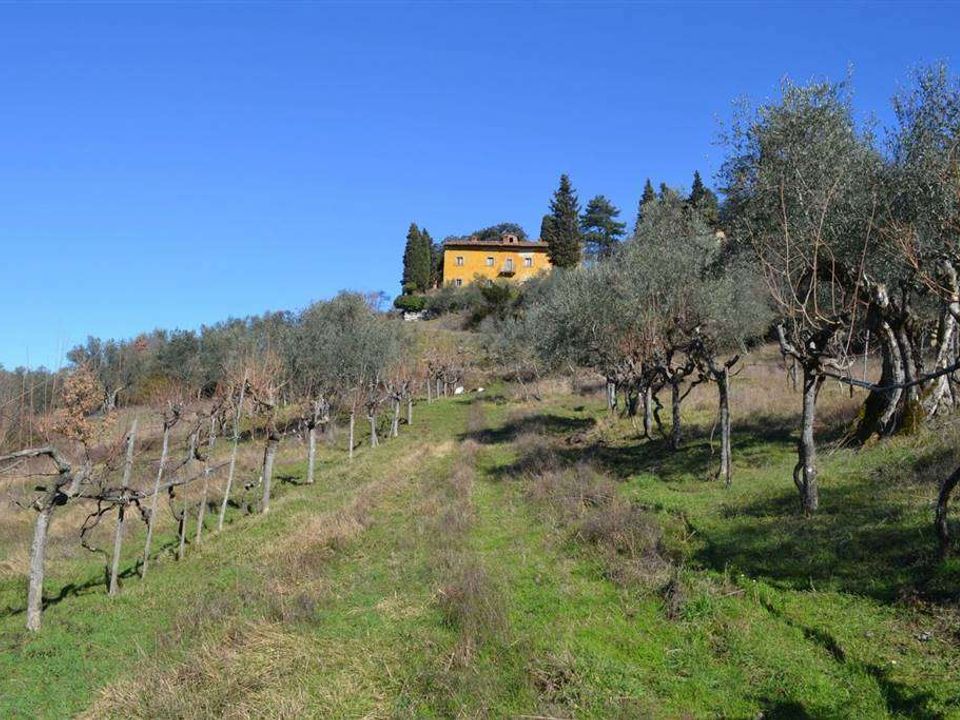 Farm hus i Rufina, Florence - foto 2