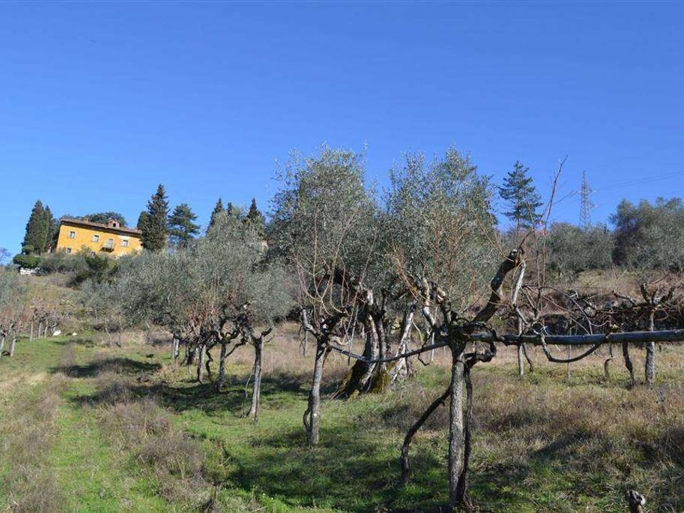 Farm hus i Rufina, Florence - foto 4