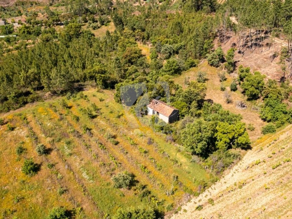 Helårsgrund i Sobreira Formosa e Alvito da Beira, Castelo Branco - foto 1