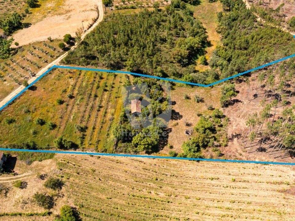 Helårsgrund i Sobreira Formosa e Alvito da Beira, Castelo Branco - foto 2