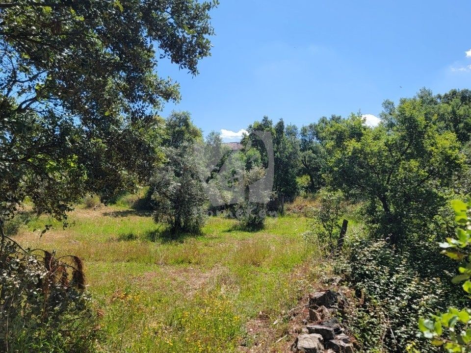 Helårsgrund i Sobreira Formosa e Alvito da Beira, Castelo Branco - foto 3