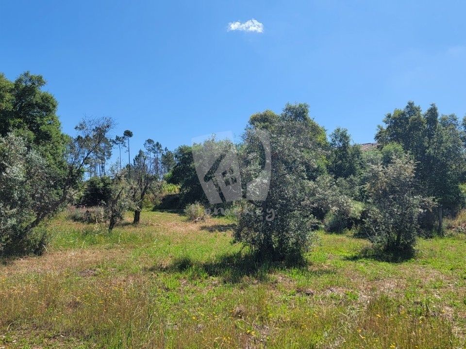 Helårsgrund i Sobreira Formosa e Alvito da Beira, Castelo Branco - foto 4