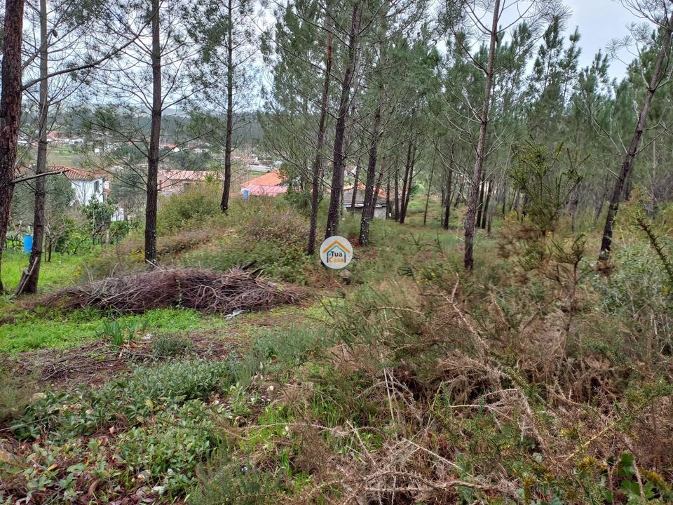 Helårsgrund i Miranda do Corvo, Coimbra - foto 2