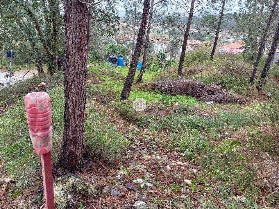 Helårsgrund i Miranda do Corvo, Coimbra - foto 3