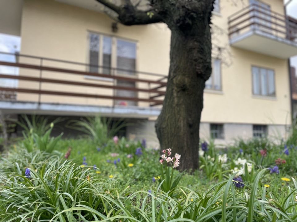 Villa i Udine, Udine - foto 5