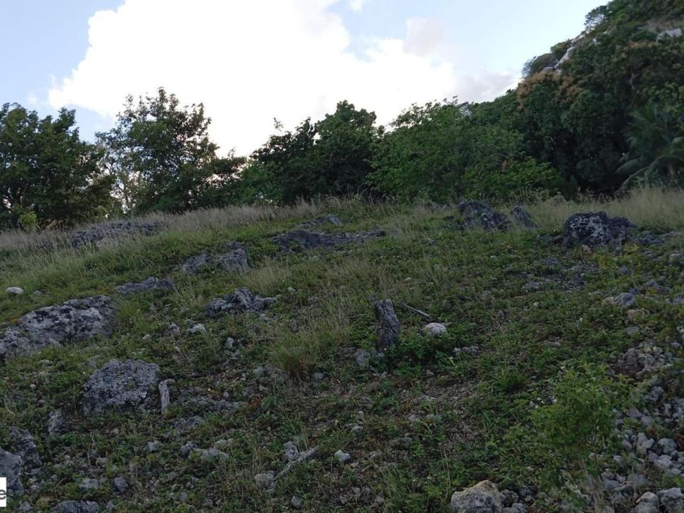 Helårsgrund i Le Gosier, Guadeloupe - foto 3