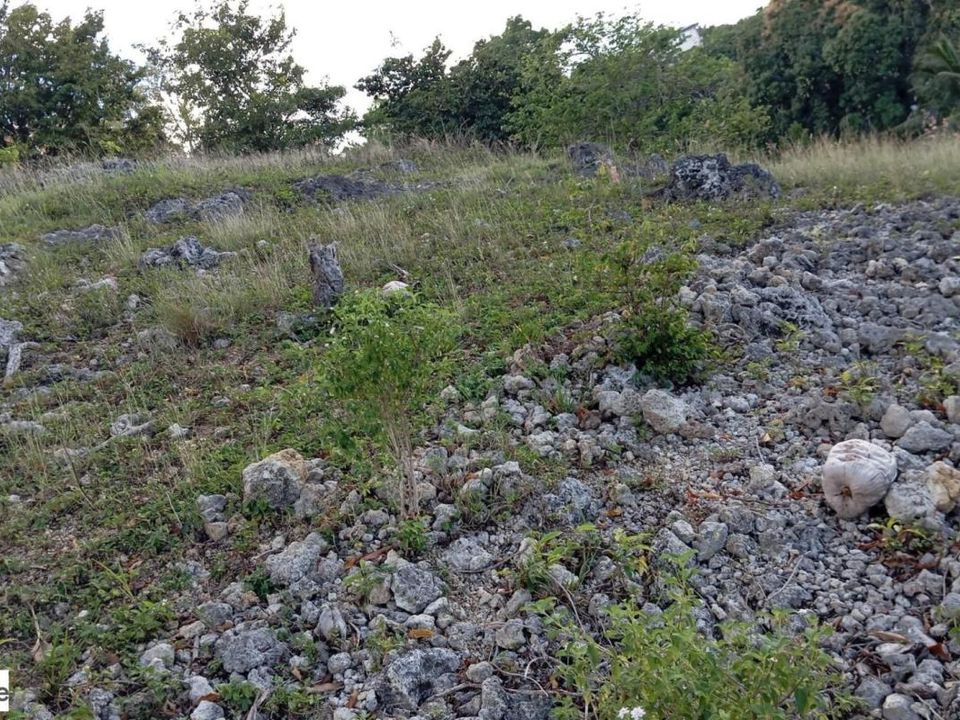 Helårsgrund i Le Gosier, Guadeloupe - foto 4