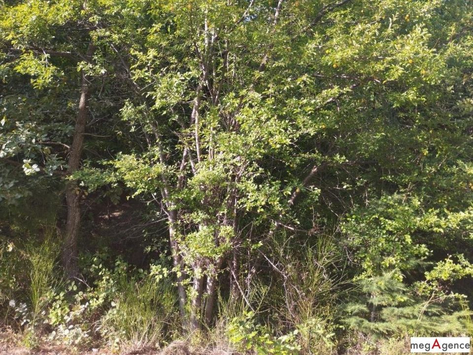 Helårsgrund i Ispagnac, Lozere - foto 3