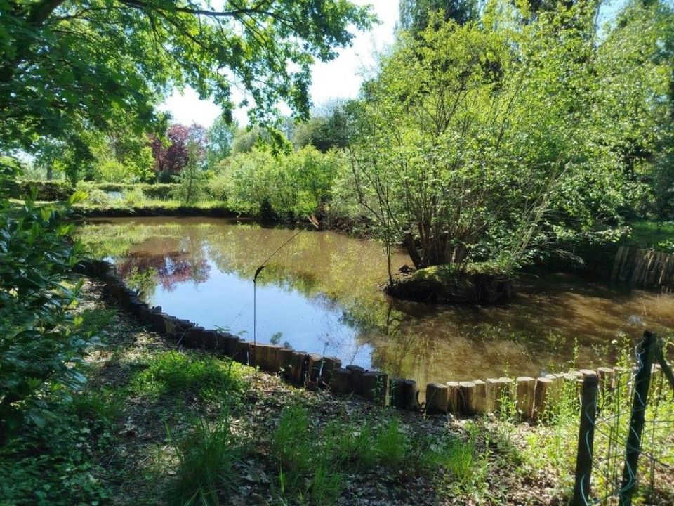 Helårsgrund i Saint-Georges-du-Bois, Sarthe - foto 1