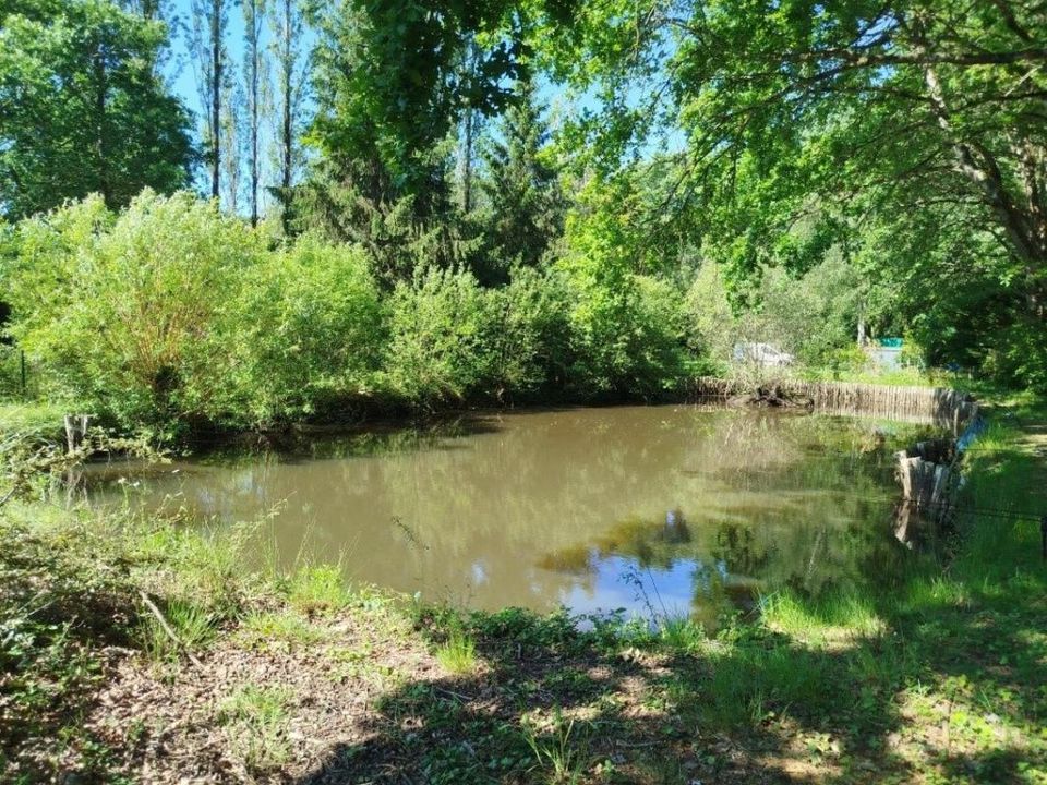 Helårsgrund i Saint-Georges-du-Bois, Sarthe - foto 2