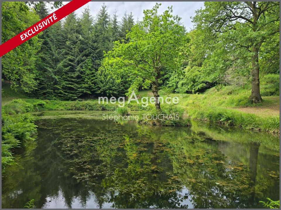 Helårsgrund i Saint-Mars-Sur-La-Futaie, Mayenne - foto 1