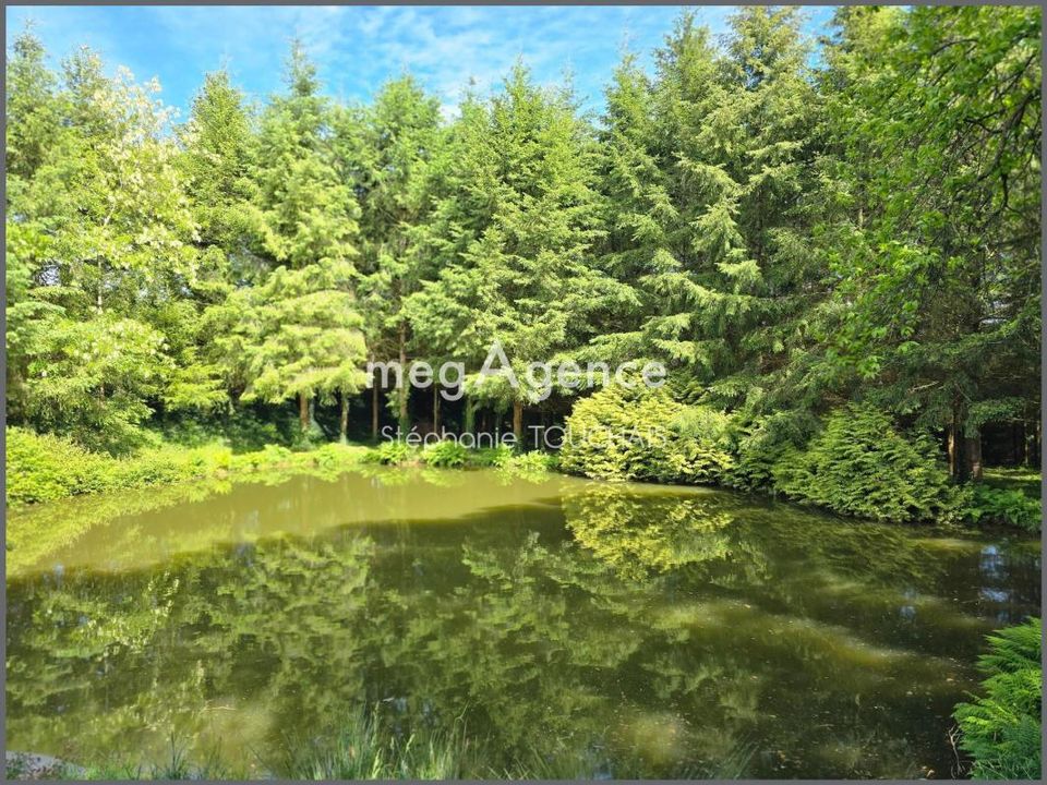 Helårsgrund i Saint-Mars-Sur-La-Futaie, Mayenne - foto 2
