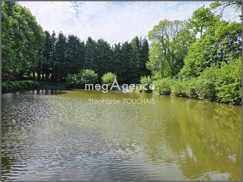 Helårsgrund i Saint-Mars-Sur-La-Futaie, Mayenne - foto 3