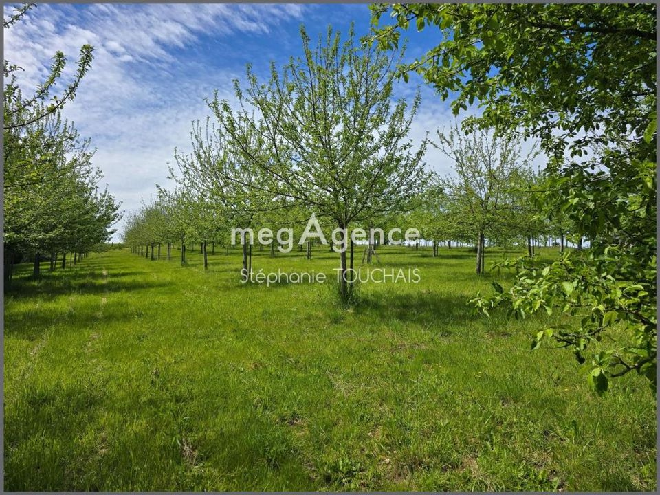 Helårsgrund i Saint-Mars-Sur-La-Futaie, Mayenne - foto 5