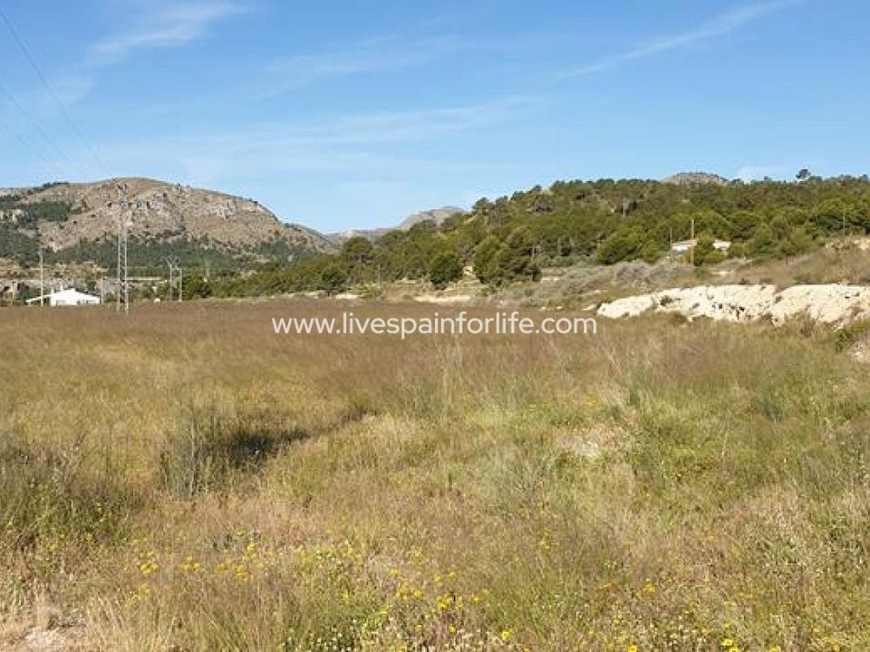 Helårsgrund i La Romana, Alicante - foto 1