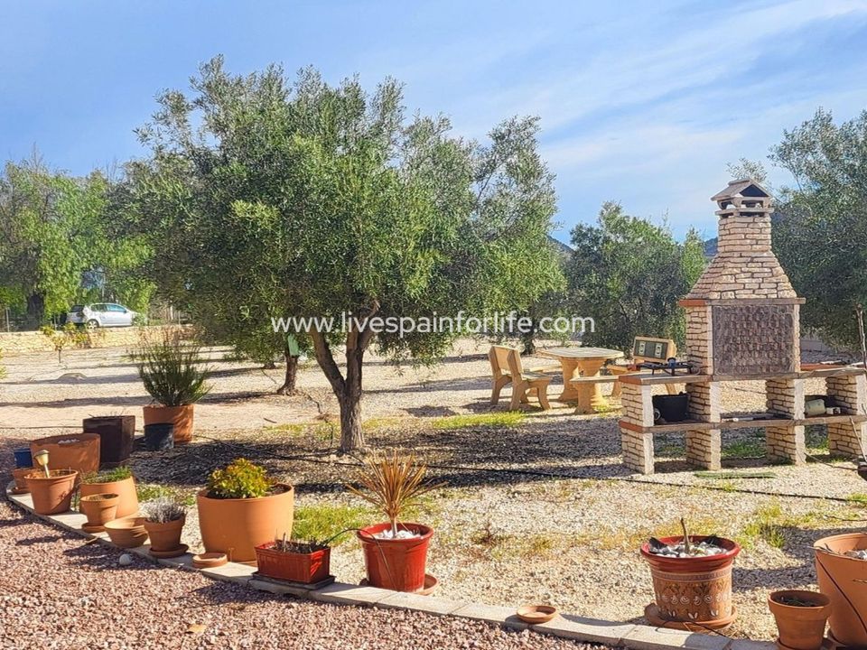 Landejendom i Monovar, Alicante - foto 4