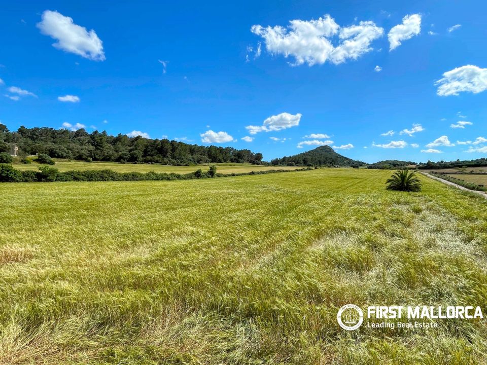 Finca i Sineu, Mallorca - foto 3